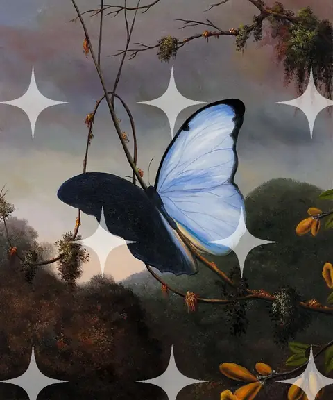 Blue Morpho on a Branch