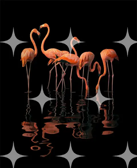 Flamingos Reflected on Dark Water