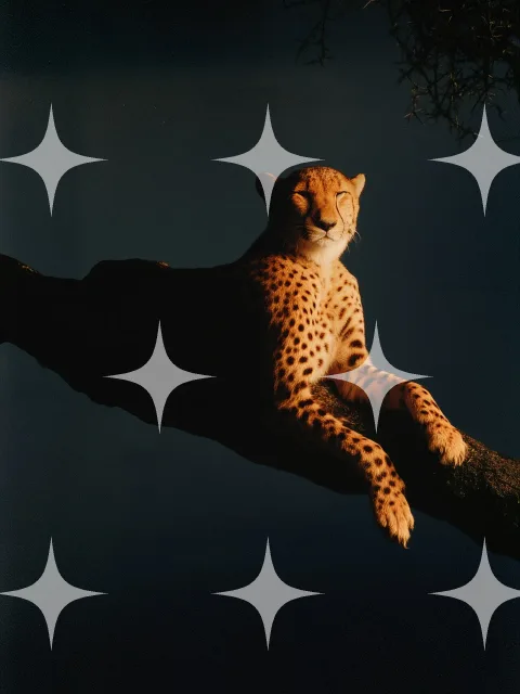 Cheetah on a Branch at Dusk
