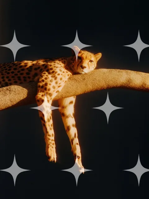 Cheetah Draped Over a Limb