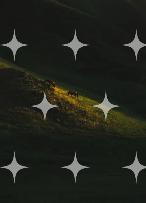 Animals on a Dark Hillside