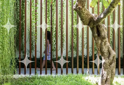 Figure Behind a Slatted Screen
