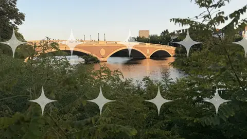 Arch Bridge Through Foliage