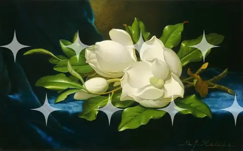 Magnolia Blossom on Velvet
