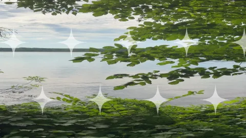Lake Through Branches