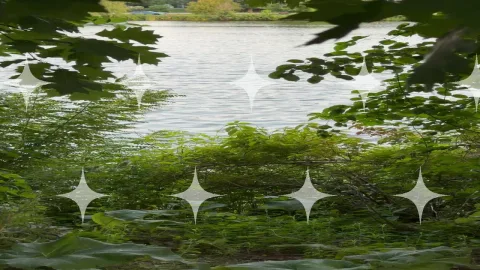 Open Water, Moving Study