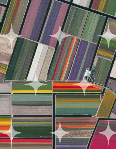Painted Beach Huts from Above