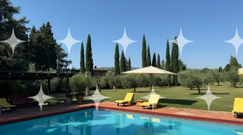Pool Below a Cypress Line