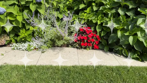 Mixed Border Against a Lawn