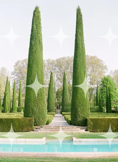 Cypress Allee Above a Pool