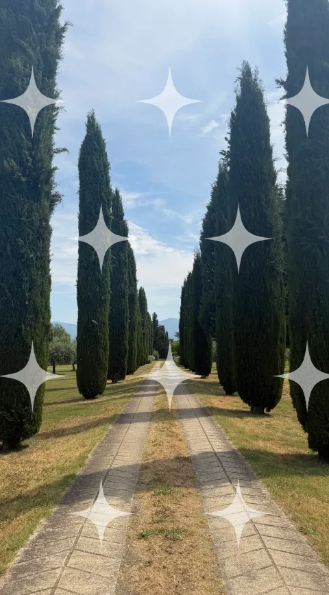 Cypress Avenue with Wheel Ruts