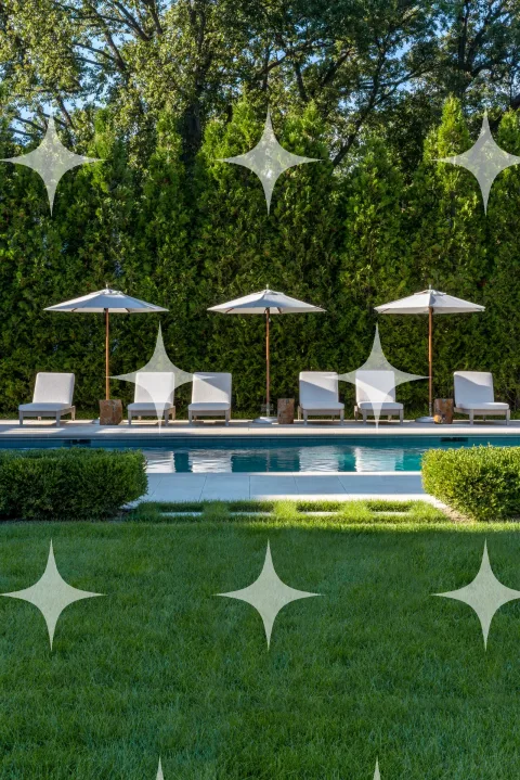 Pool and Loungers Behind a Hedge