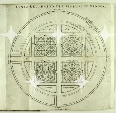 Padua Botanic Garden Plan