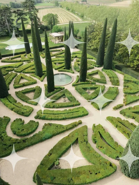 Scrolled Parterre from Above