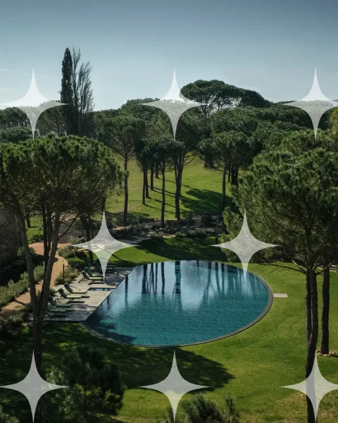 Oval Pool Among Umbrella Pines