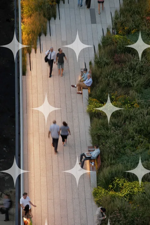 Planted Walkway from Above
