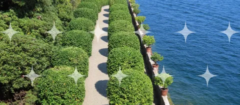 Clipped Domes Along the Shore