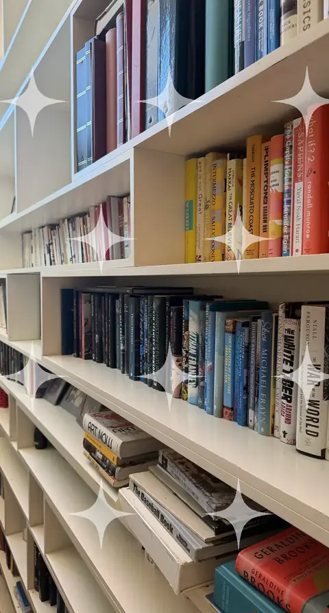 Bookshelves, Colour-Sorted Spines