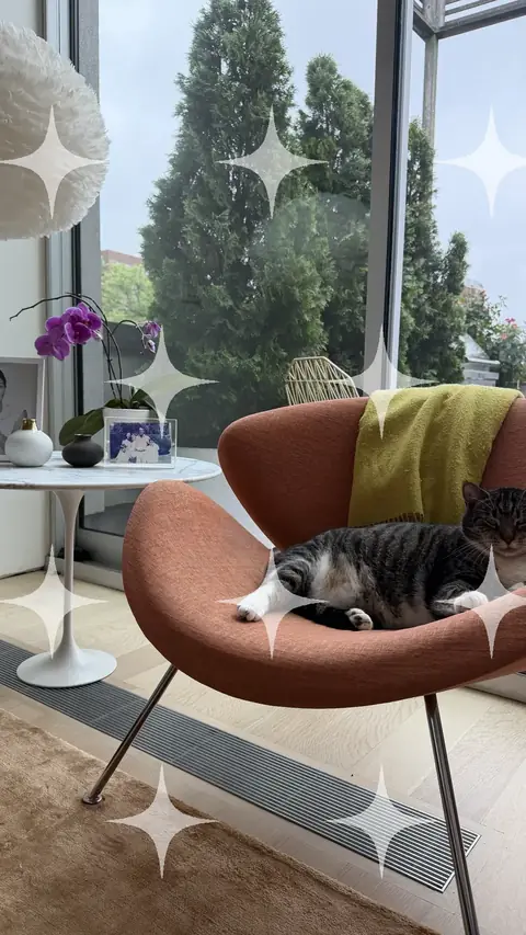Cat Asleep on a Rust Armchair