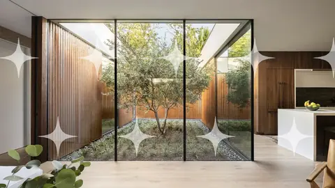 Courtyard Seen Through Sliding Glass