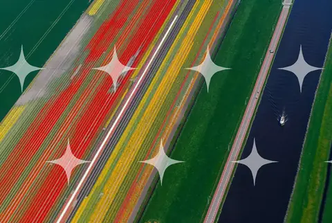 Tulip Fields and Canal