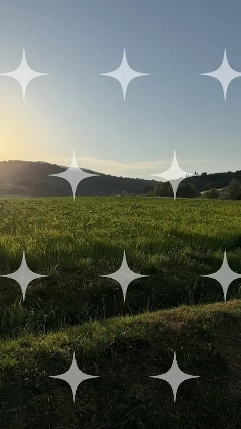 Meadow at First Light