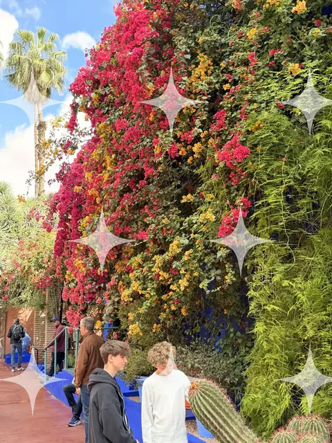 Bougainvillea Over a Garden Path
