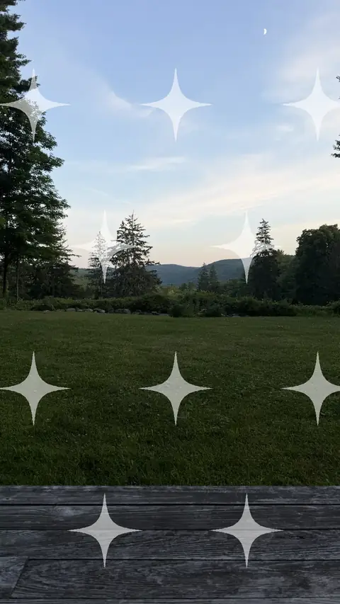 Field and Treeline at Dusk