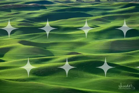 Green Hills in Soft Light