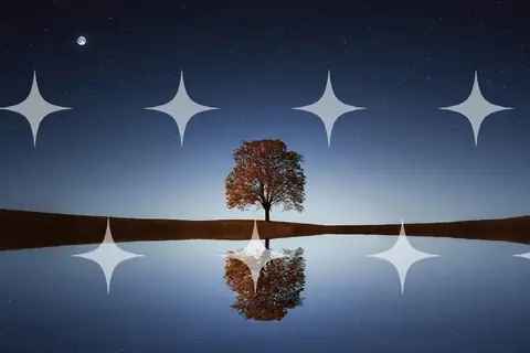 Lone Tree Reflected at Dusk