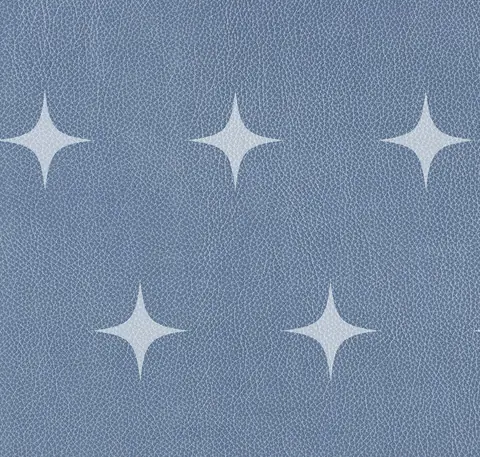 Pebbled Leather Swatch, Blue