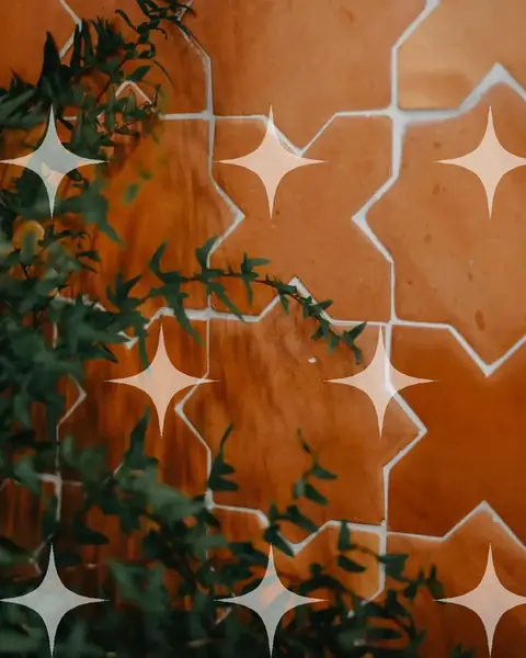 Terracotta Star Tiles with Foliage