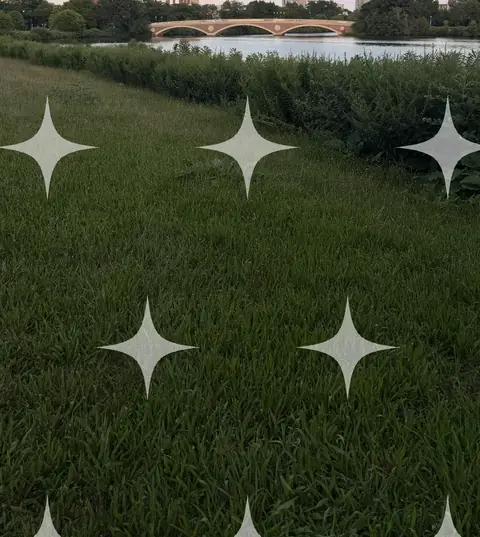 Grass Bank Above a River