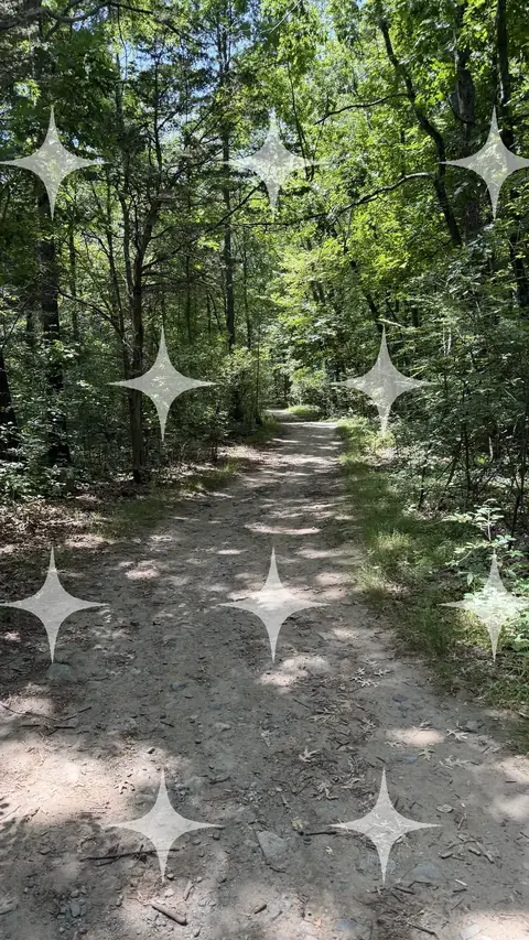 Woodland Path