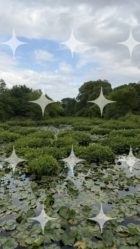 Pond Under Cloud