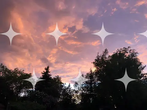 Pink Clouds Over Treeline
